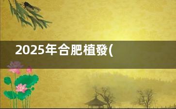 2025年合肥植發(fā)多少錢？合肥做發(fā)際線種植8k+/頭頂加密1.5w+/胡須種植2w+